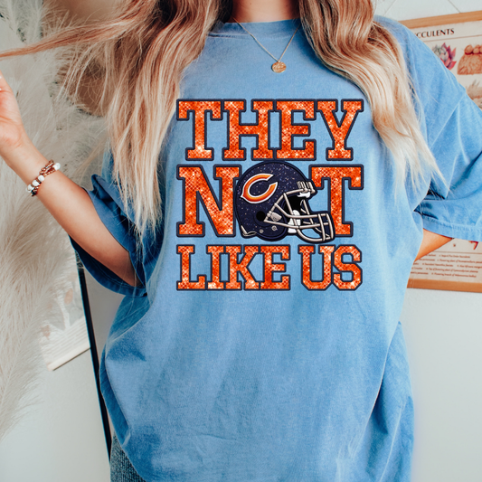 Bears They Not Like Us (Faux Embroidery) (Faux Sequins) Football DTF TRANSFER