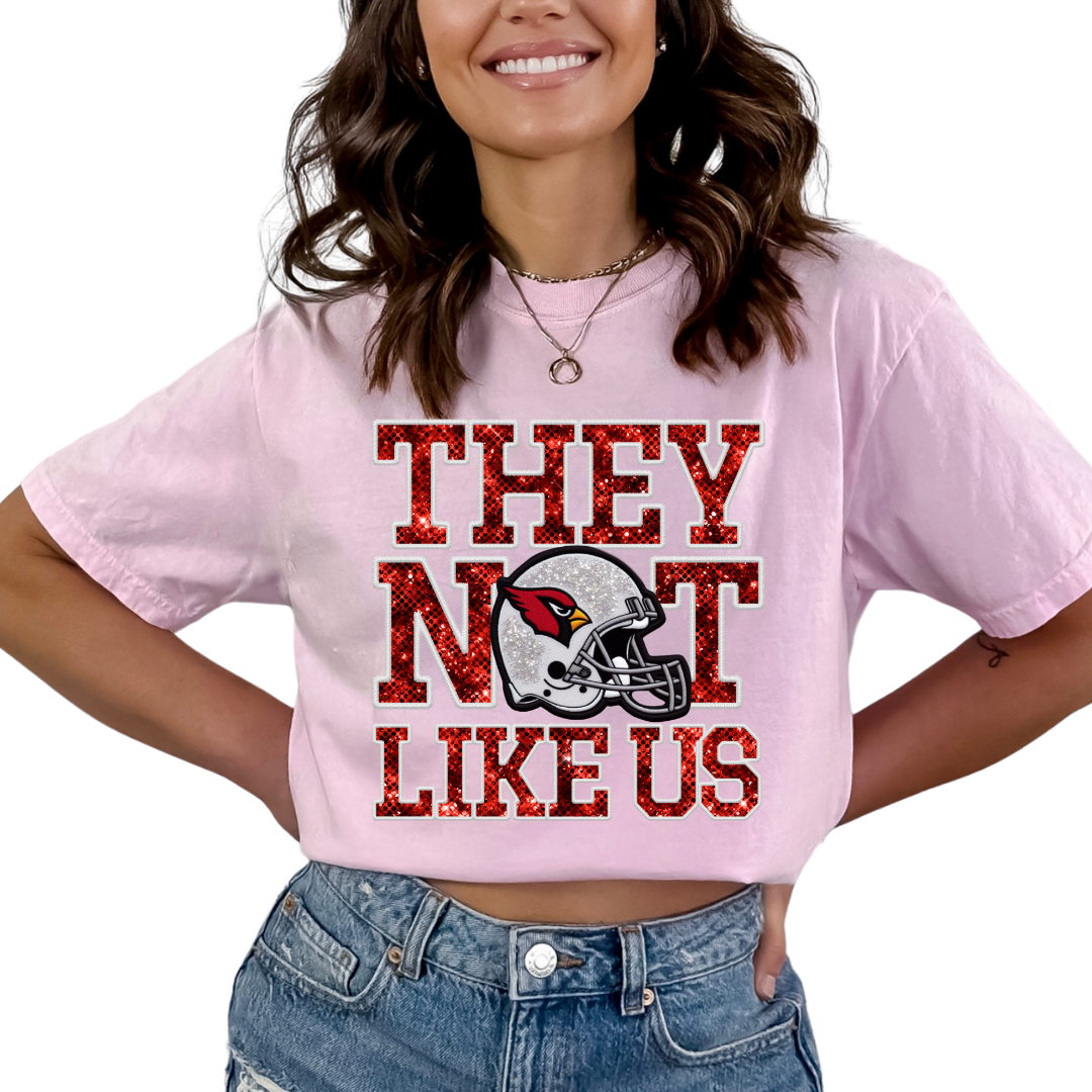 Cardinals They Not Like Us (Faux Embroidery) (Faux Sequins) Football DTF TRANSFER