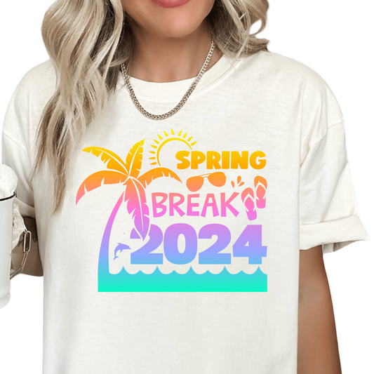 Ombre Beach 2024 Spring Break DTF TRANSFER