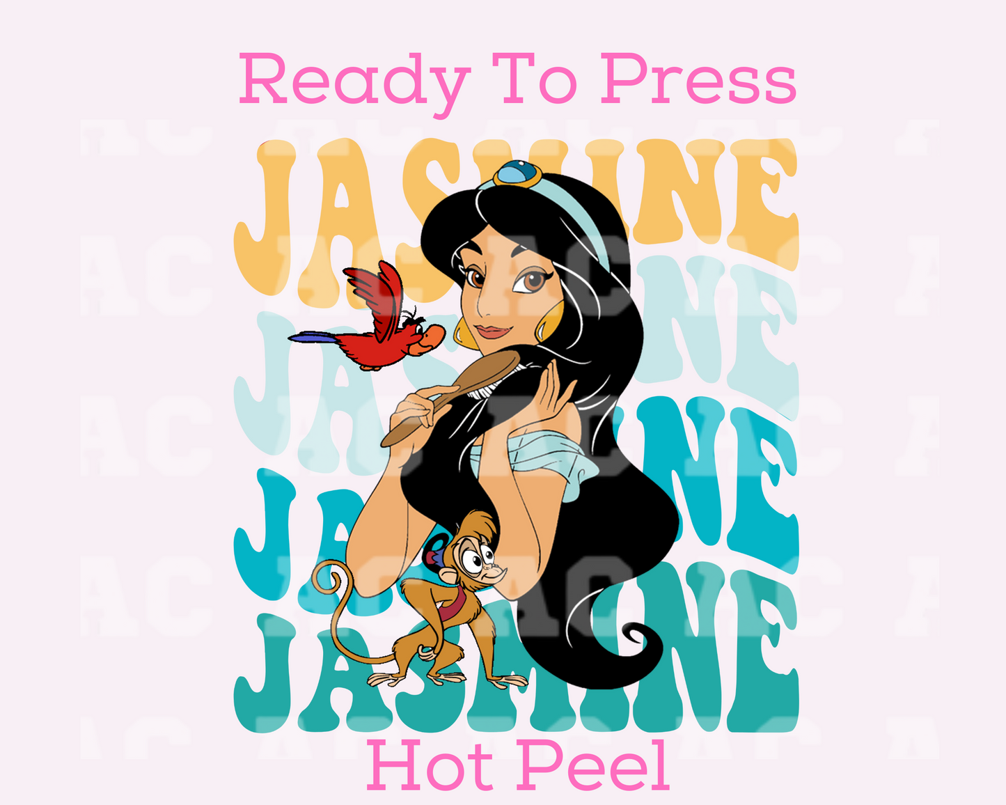 Jasmine Disney Princess DTF TRANSFER