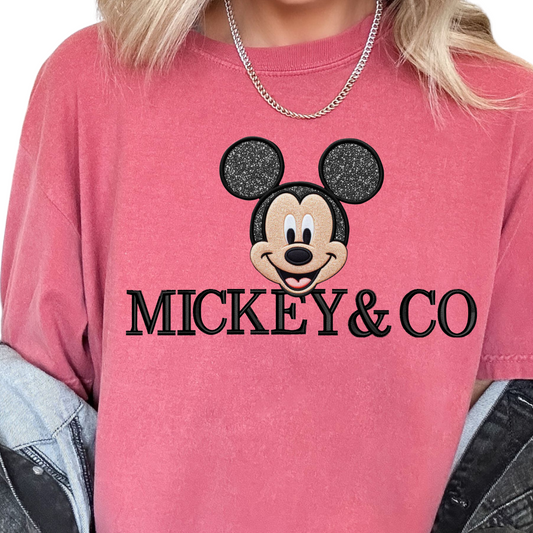 Mickey & Co Disney DTF TRANSFER