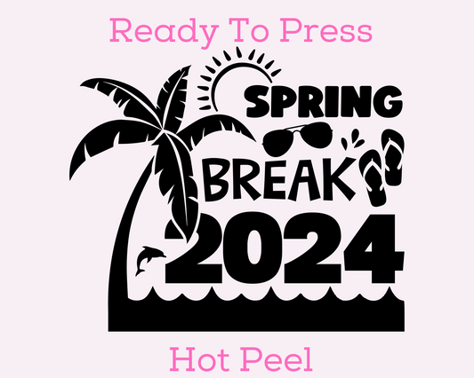 2024 Spring Break DTF TRANSFER