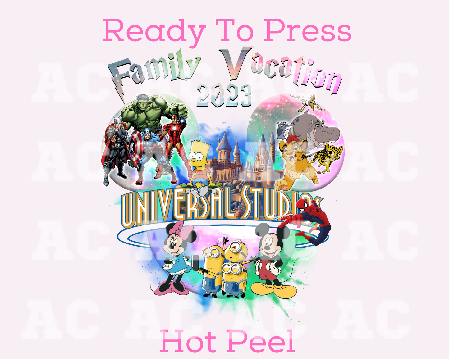 Family Vacation 2023 Universal Disney DTF TRANSFER