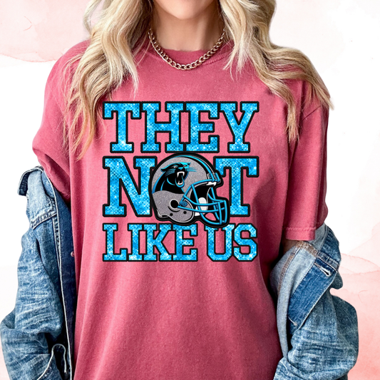 Panthers They Not Like Us (Faux Embroidery) (Faux Sequins) Football DTF TRANSFER