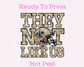 Saints They Not Like Us (Faux Embroidery) (Faux Sequins) Football DTF TRANSFER