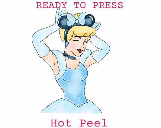 Princess Cinderella Disney Princess DTF TRANSFER