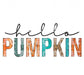 Distressed Hello Pumpkin DTF TRANSFER