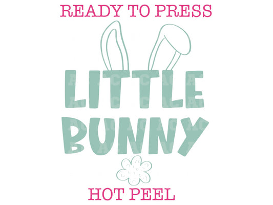 Little Bunny (Green) Easter DTF TRANSFER