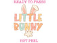 Little Bunny (Multicolor Pastel) DTF TRANSFER