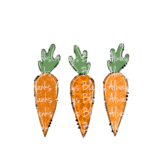 3X Carrot Easter PNG