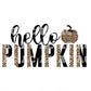 Leopard Hello Pumpkin DTF TRANSFER